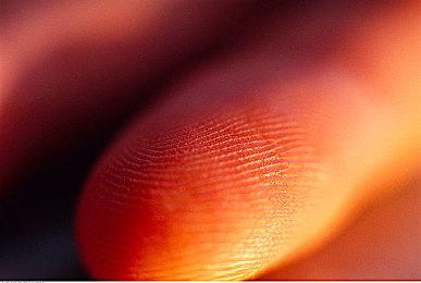 高尔夫游戏《PGA巡回赛2K》新作将于2025年推出